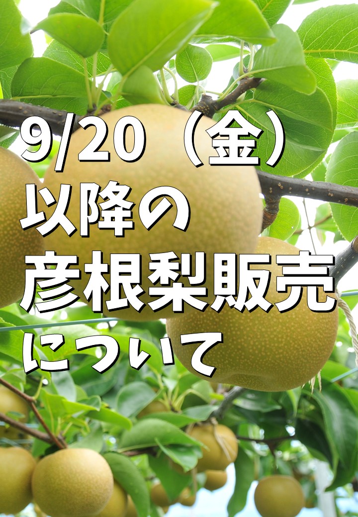 令和6年9月20日（金）以降の彦根梨販売について