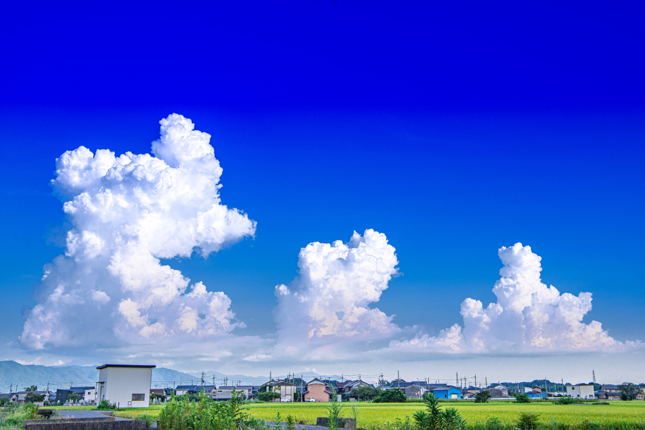 くらし優秀 入道雲の親子（髙田直幸）