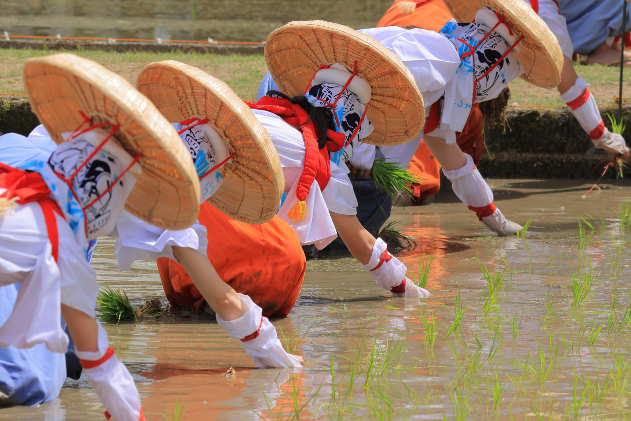 行事・名所最優秀 お田植祭（辰巳敬造）