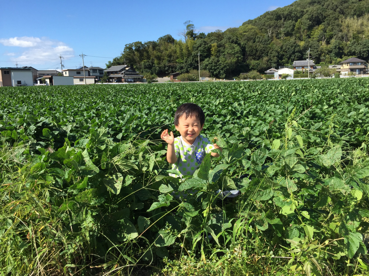 ⑤くらし部門優秀賞 豆畑でかくれんぼ。み～つけた！（中川亮）